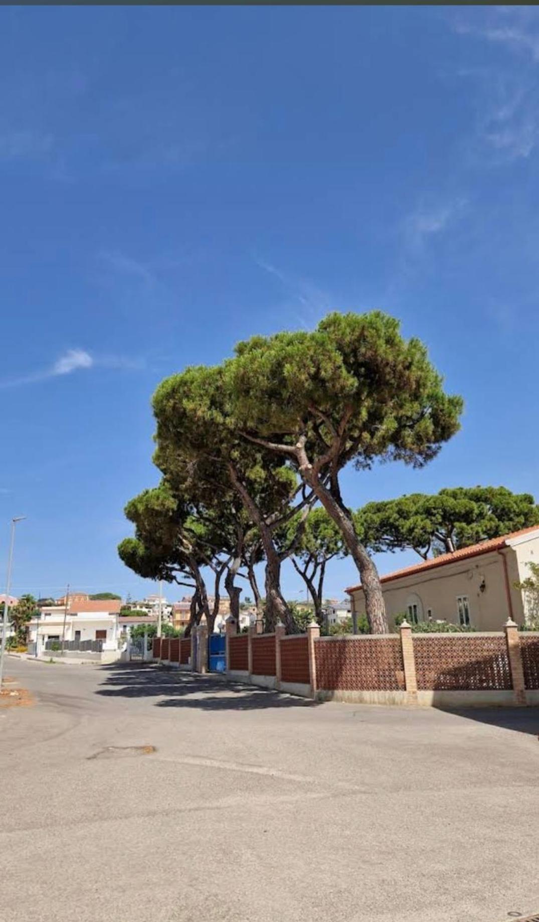 Il Sogno Di Calipso Bed & Breakfast Amendolara Exterior photo